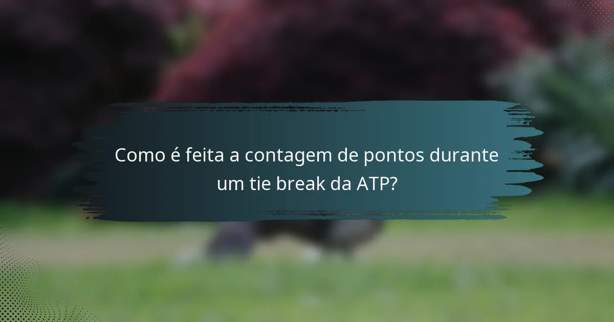 Como é feita a contagem de pontos durante um tie break da ATP?