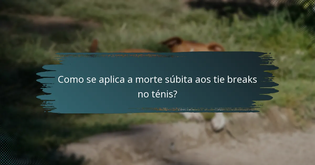 Como se aplica a morte súbita aos tie breaks no ténis?