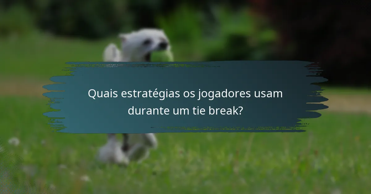 Quais estratégias os jogadores usam durante um tie break?