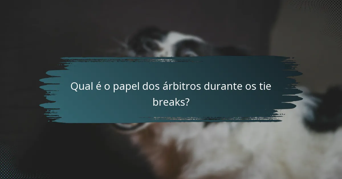 Qual é o papel dos árbitros durante os tie breaks?